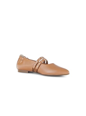 Gabor Elegante Ballerinas in braun