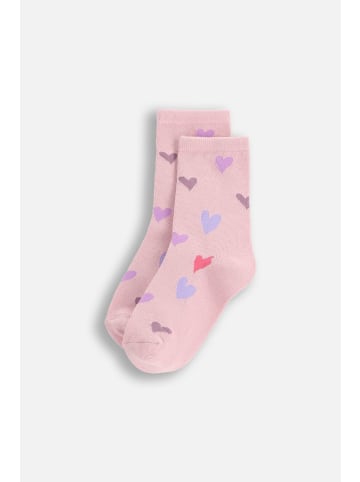 Coccodrillo Socken in bunt