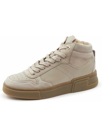 Paul Green Sneaker in creme