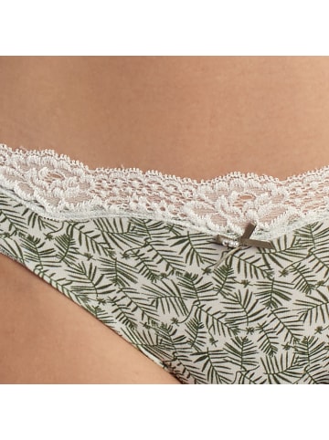 Janira 2er-Set: Pantys in Green