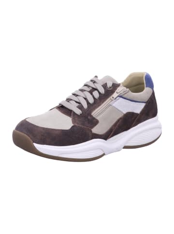 Xsensible Sneaker in braun