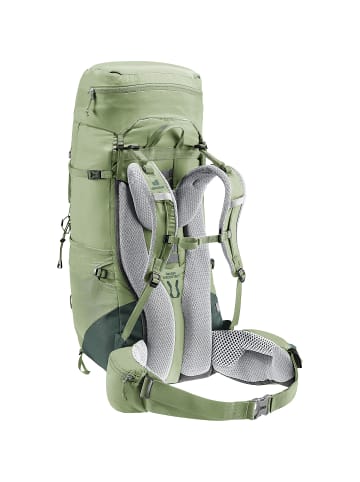 Deuter Aircontact Lite 45 + 10 SL in Schilf1214