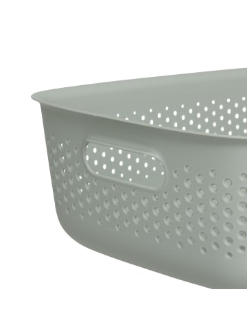 5five Simply Smart Aufbewahrungsbehälter SIENNE mit Griffen, 10 l in Seladon, 39 x 28,7 x 13 cm