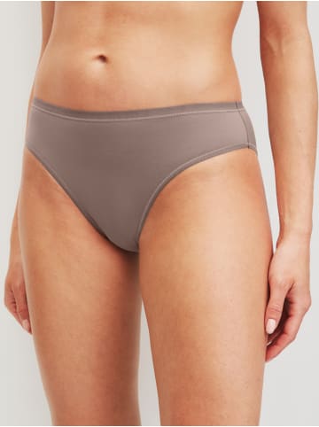 Calida Slip, 3er-Pack in multicolor