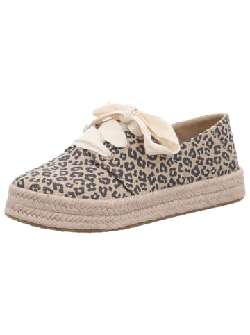 TOMS Sneaker Low in braun