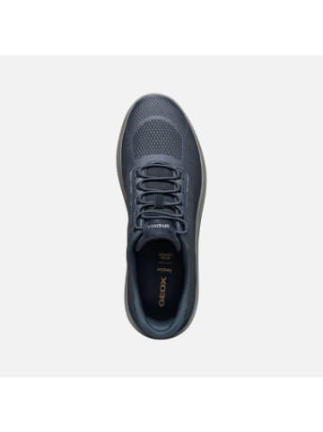 Geox Schuhe U in Marine