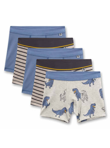 Sanetta Boxershort 5er Pack in Blau/Grau