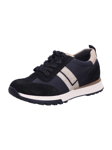 Paul Green Schnürschuh in Schwarz