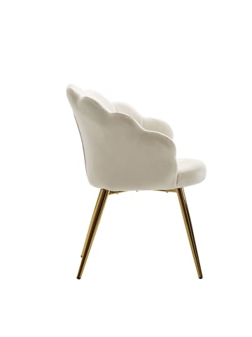 FineBuy Esszimmerstuhl in Weiß / Samt / 47x53x80