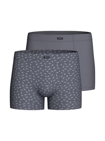 Impetus Boxershorts IM1222P12P2 in grau