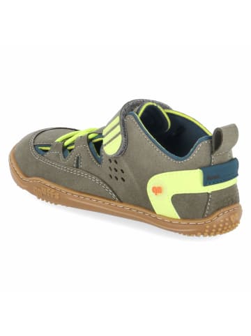 qnuffs Slipper in green