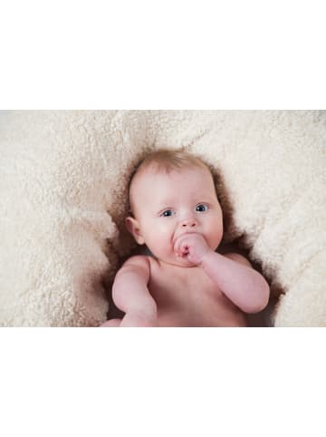 Efie Bio Stillkissen Schaf, Inlett Mikroperlen, Made in Germany, ca. 180cm