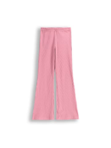 Coccodrillo Gerippte Leggings mit langem Hosenbein in rosa