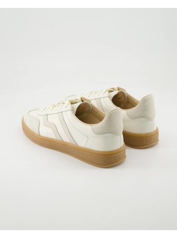 Gant Sneaker low in Beige