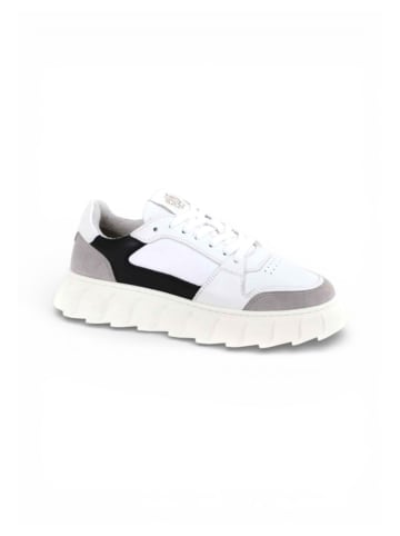 Apple of Eden Sneaker LONDON in LIGHT GREY