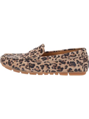 Palado Slipper Hucor in Leo