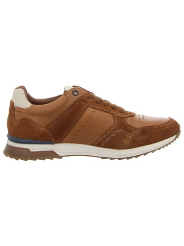 Camel Active Schnürschuh in braun