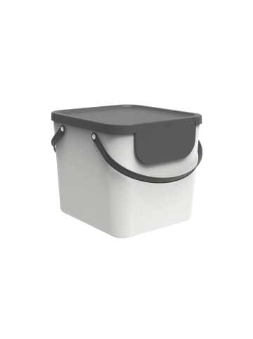 Rotho Albula Mülltrennungssystem 40 l für die Küche in Mistletoe white