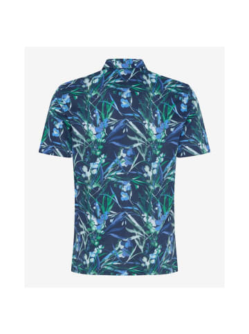 BRAX  Polo in universe