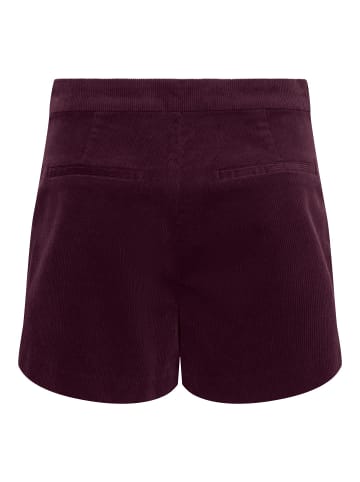 ONLY Shorts in Fig