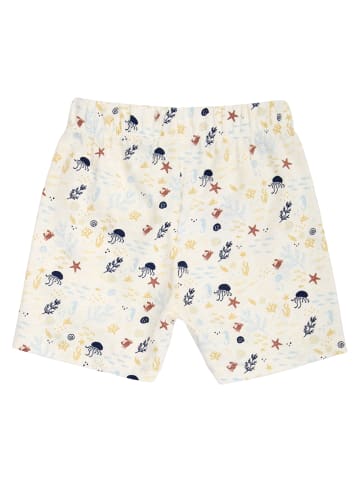 müsli Babyshorts in Tofu/ Hemp/ Navy