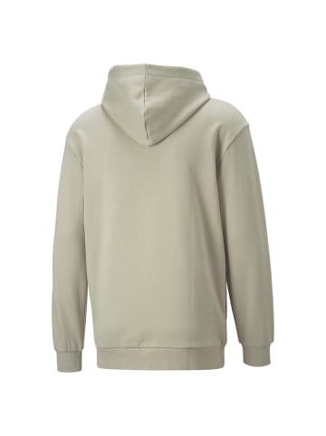 Puma Hoodie Better Hoodie FL in Beige