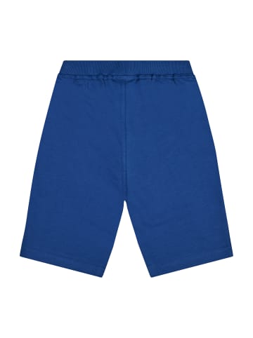 Paw Patrol Hose kurz Paw Patrol Marshall Shorts in Dunkel-Blau