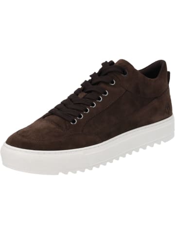 palado Sportliche Halbschuhe in dk brown