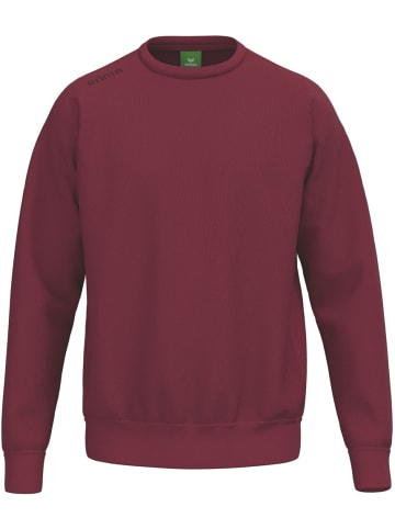 erima Kinder Sweatshirt "Ts Sweatshirt" in Rot