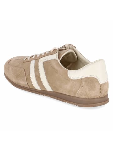 Gant Schnürhalbschuh in beige
