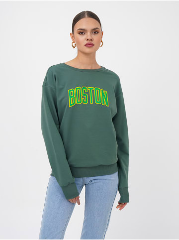 Freshlions Pullover in mint