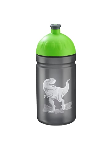 Step by Step Trinkflasche, 0,5 l, für Kindergarten und Schule in Wild T-Rex Taro, Schwarz