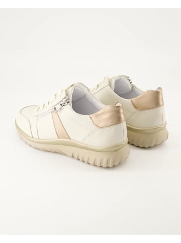 Semler Sneaker low in Beige