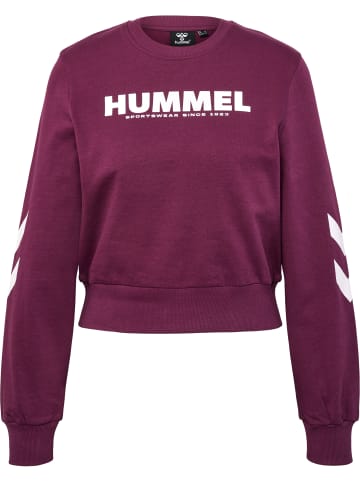 Hummel Hummel Sweatshirt Hmllegacy Damen in GRAPE WINE