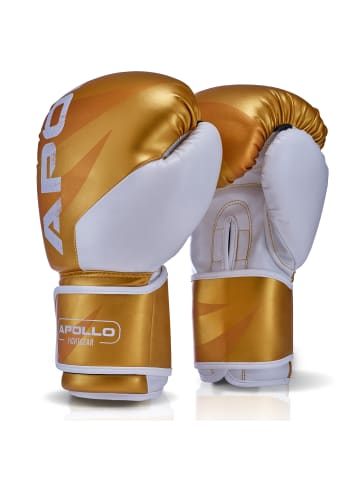 Apollo Boxhandschuhe Männer " Champion Thai Box Handschuhe " in Gold