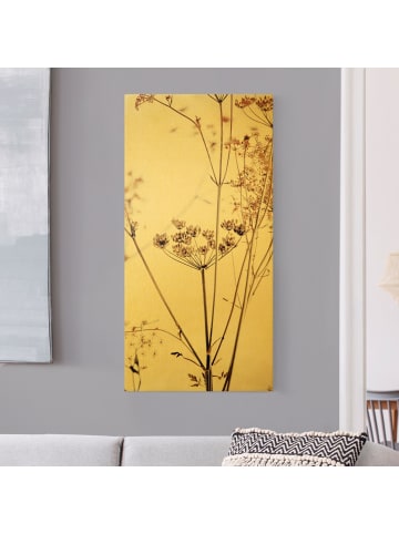 WALLART Leinwandbild Gold - Trockenblume im Lichtspiel in Braun