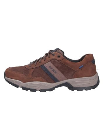 Pius Gabor Sneaker EVOLUTION in braun