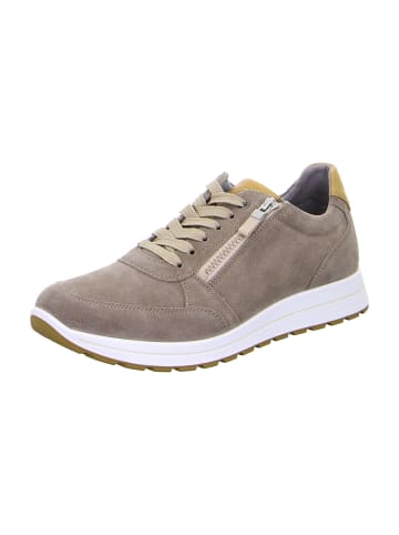 ara Sportliche Schnürschuhe in Beige