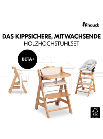 Hauck Beta Plus 5-tlg. Newbornset - Hochstuhl + in braun,grau