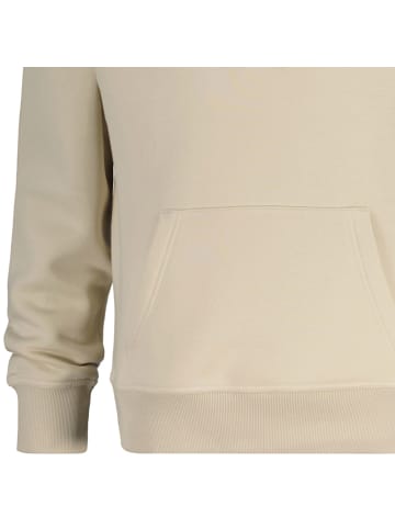 Gant Sweatshirt in Beige