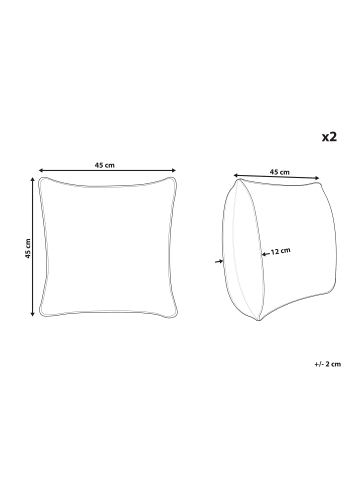 Beliani 2er-Set Gartenkissen GLADE in Bunt/Weiß/Gold