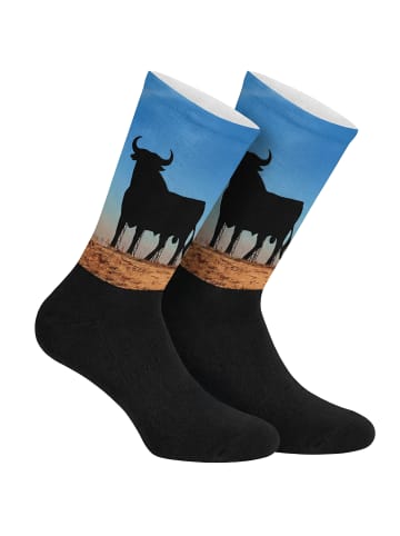 Jenes Socks Socken in Multicolored