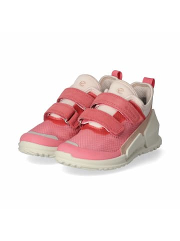 Ecco Low Sneaker BIOM in Rosa