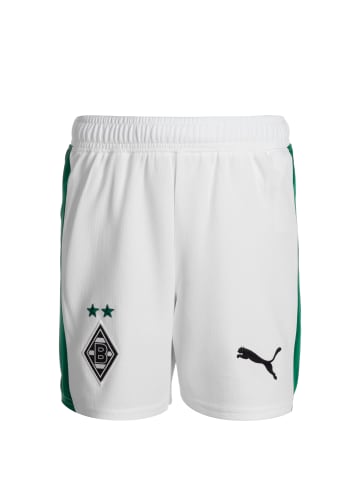 Puma Trainingsshorts Borussia Mönchengladbach Replica in weiß / grün