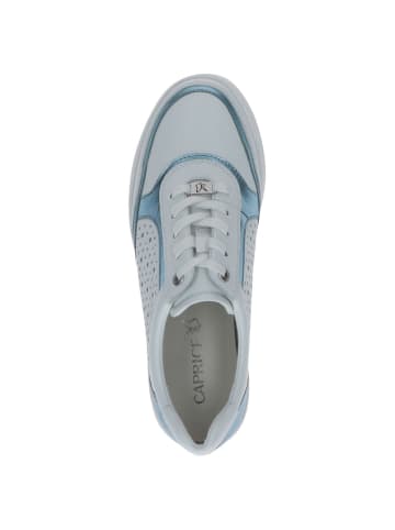 Caprice Sneaker in WHITE/LT.BLUE