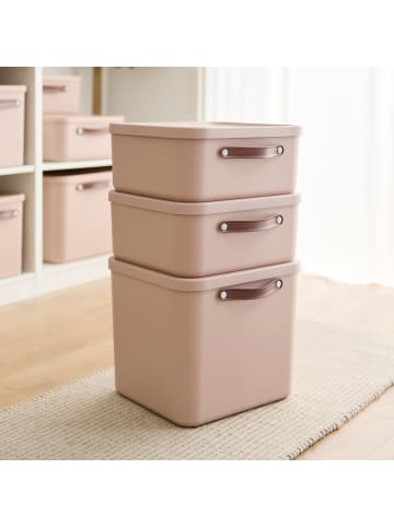 Rotho 2er-Set Kiste mit Deckel Maloja 20l in Meadow rose