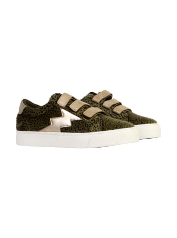 Kaporal Toundra Low-Top-Sneaker mit Klettverschluss Grün