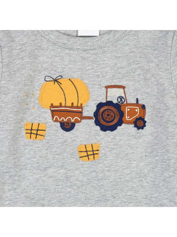 Fred´s World by GREEN COTTON Langarmshirt 1512111600 in grau