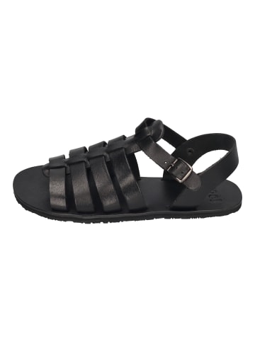 KOEL Sandalen ATHENA  in braun