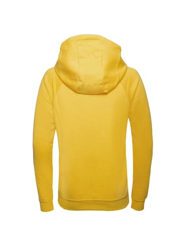 Nike Kapuzenpullover Park 20 Fleece in gelb